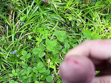 Outdoor wank in bluebell woods